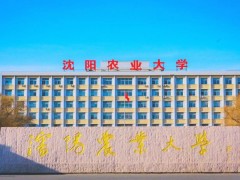 沈阳农业大学水利学院预算96万 竞争性采购全站仪等设备