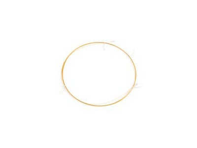 中等极性去活保护柱/保留间隙柱/传输线图1