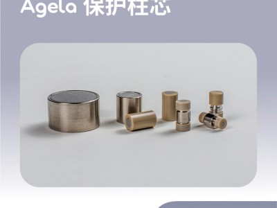 艾杰尔Venusil保护柱芯10*10mm;10μ