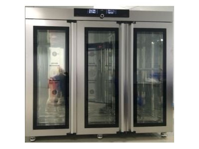 半导体低温培养箱IPP2200plus
