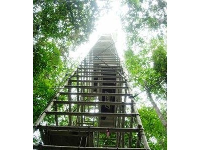 CO2-H2O气体稳定同位素廓线测量系统-气体稳定同位素质谱仪图2