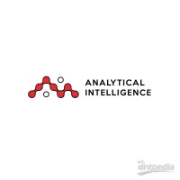 ANALYTICAL INTELLIGENCE 分析智能