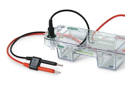 ReadyAgarose 预制胶系统图2