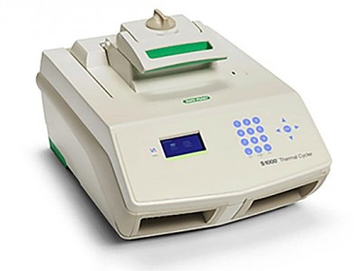 S1000 384孔PCR 仪，梯度PCR