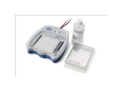 AmershamTM ECLTM Gel system预制胶