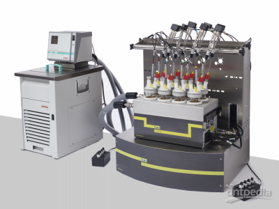 HEL 高通量筛选自动高压化学合成仪/