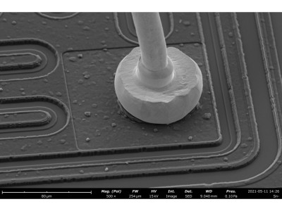 高分辨率台式扫描电镜Phenom Pro图3