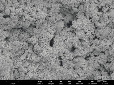 飞纳台式扫描电镜Phenom ProX图2