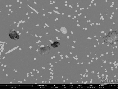 飞纳台式扫描电子显微镜标准版Pure图2
