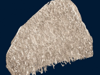 N80 高分辨台式显微CT图2