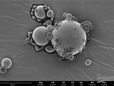 飞纳台式场发射扫描电镜 Phenom Nan