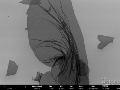 飞纳台式场发射扫描电镜 Phenom Nano图3