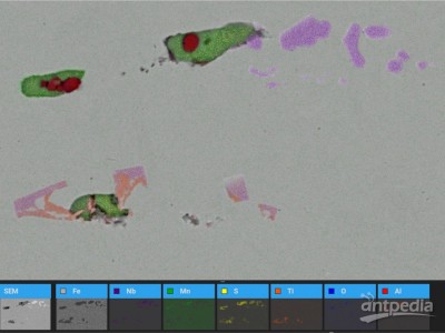 ParticleX Steel 钢铁夹杂物分析系统图3