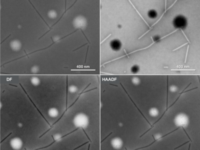 精选                                                                                    Phenom Pharos-图3