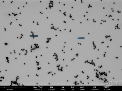 精选                                                                                    Phenom Pharos-图2