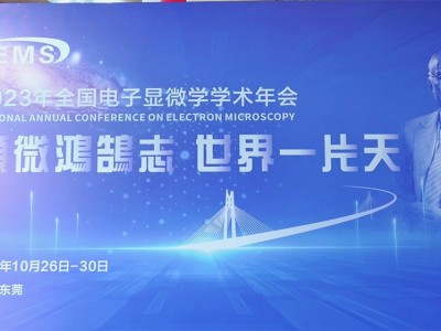 国产超高分辨场发射扫描电子显微镜 