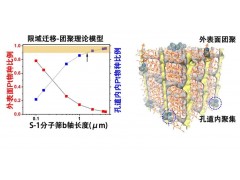 分子筛尺寸调控金属团簇迁移机制获突破，创制高稳定催化剂