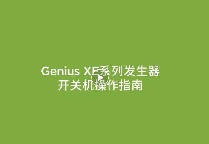 Genius XE系列氮气发生器