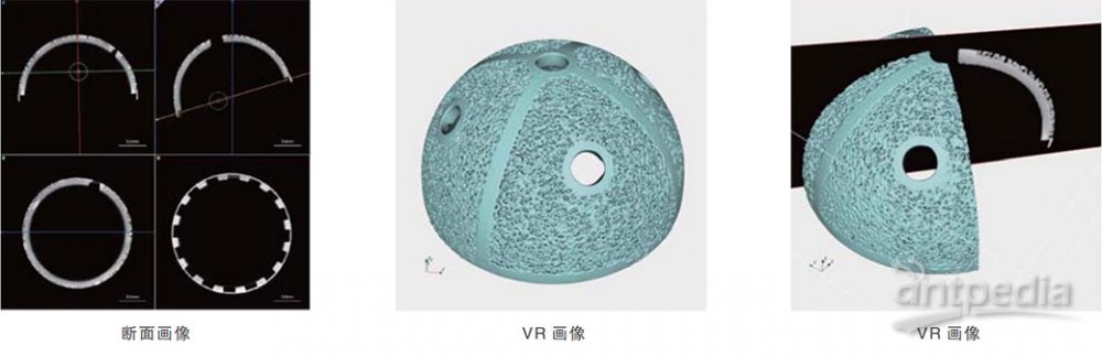 金属AM：寛骨臼サンプル（多孔質体と基材の一体造形）