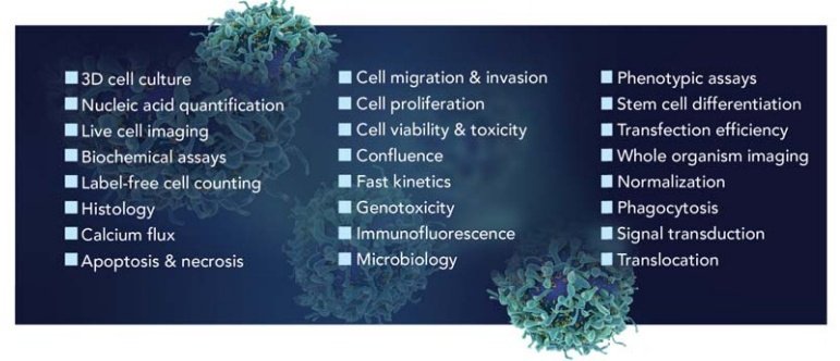 1649503487225297.jpg 020.jpg