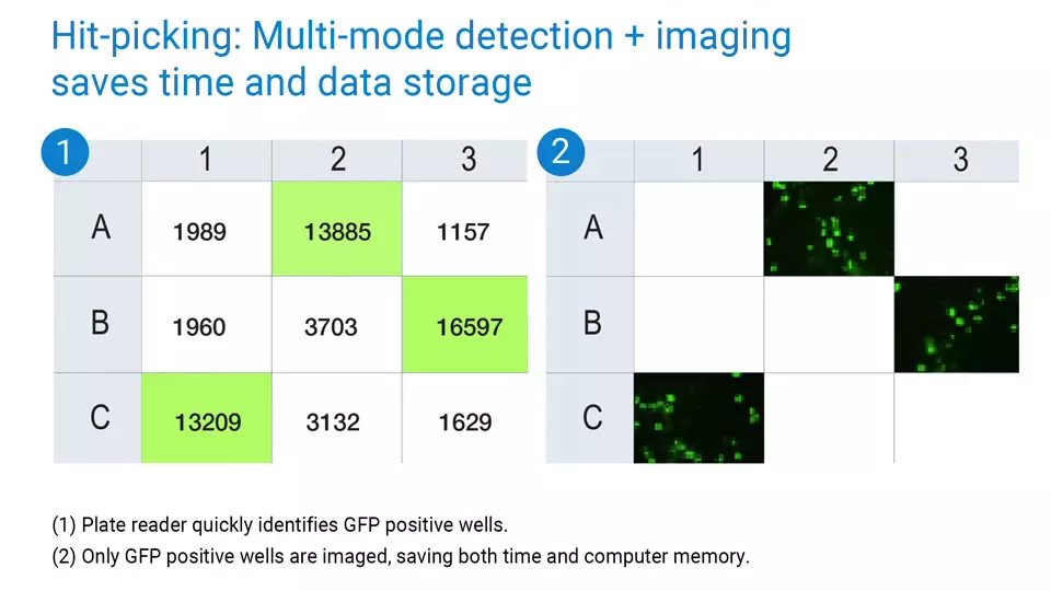 1649502503463890.jpg 1649502503463890.jpg