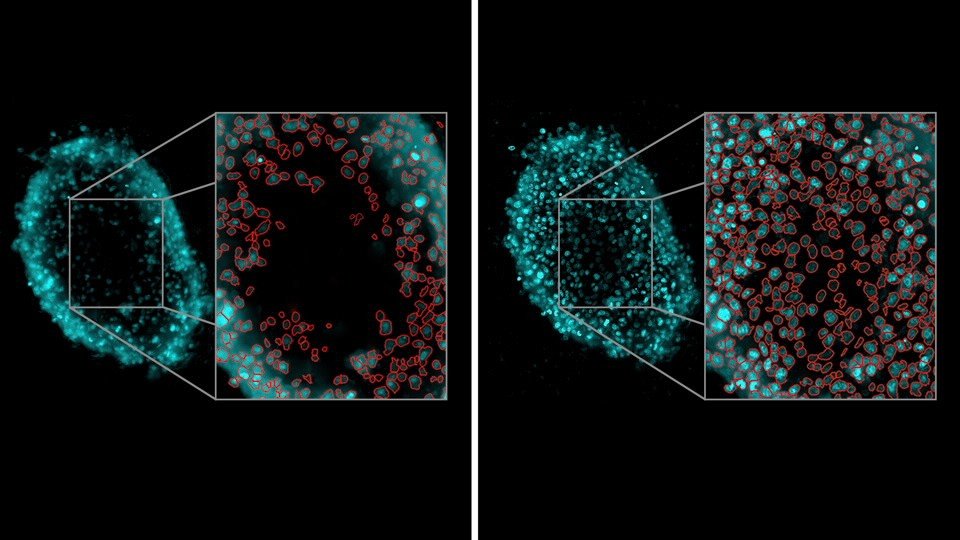 1649502767153816.jpg 012.jpg