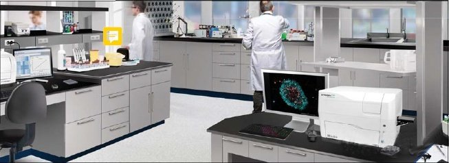 1649502969421457.jpg 015.jpg