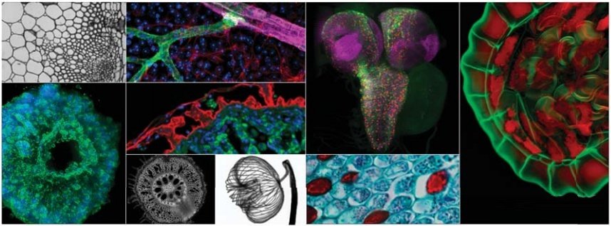 1649502759183404.jpg 011.jpg