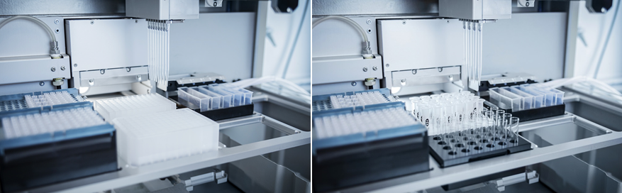 1490621472117783.png 1490621472117783.png