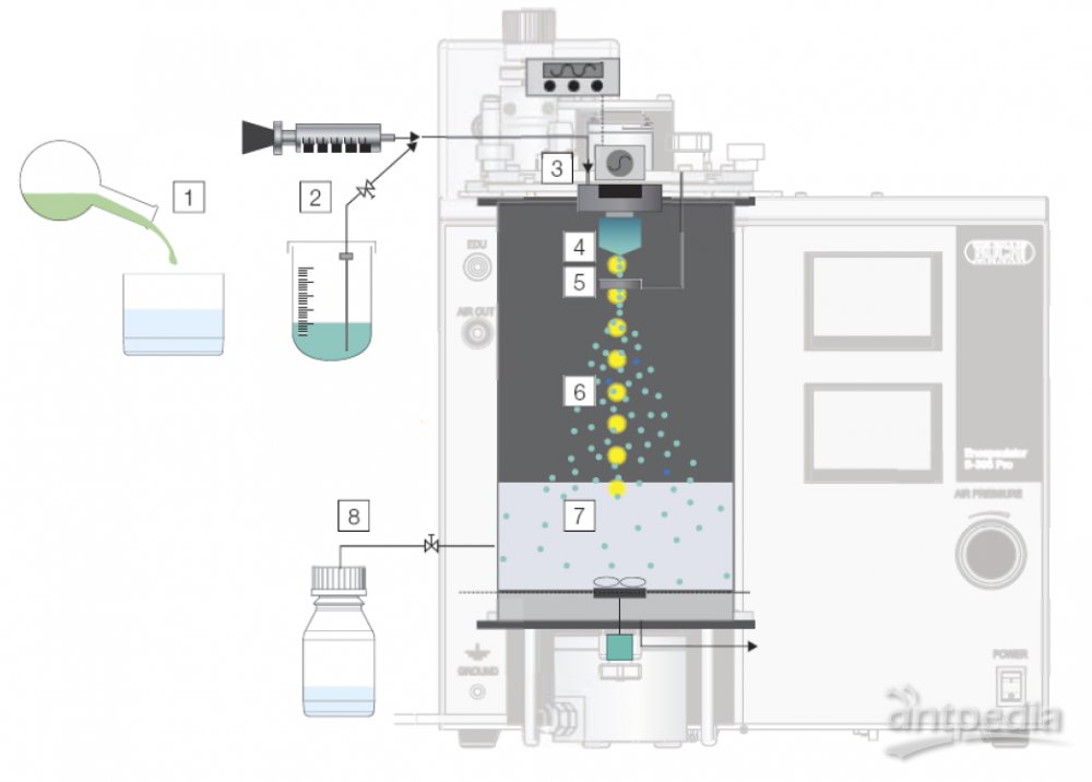 1573996447999161.jpg 1573996447999161.jpg