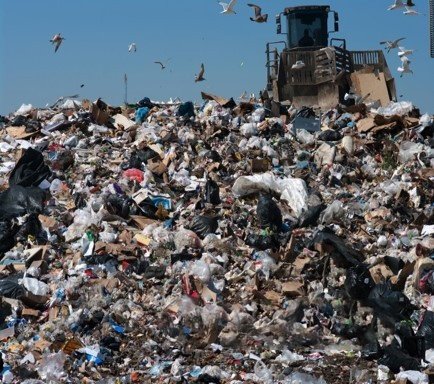 1575117082782503.jpg 002.jpg