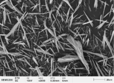 钨钢合金样品BSE