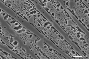 钨钢合金样品SE