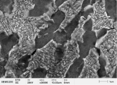 钛合金基体组织
