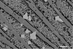 钨钢合金样品BSE