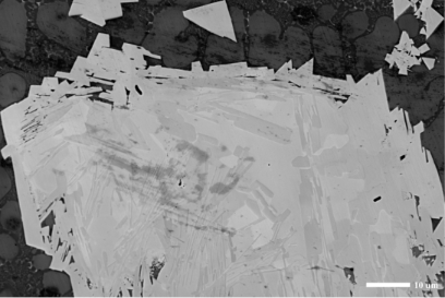 多种信息同时成像SE