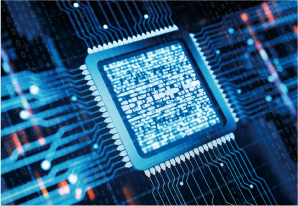 yinyong11592206487534 yinyong11592206487534