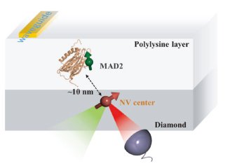 1657100002921568634.jpg p811585035351844.jpg