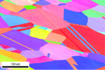 多种信息同时成像BSE+SE