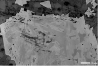 多种信息同时成像SE