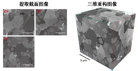 提取截面图像・三维重构图像