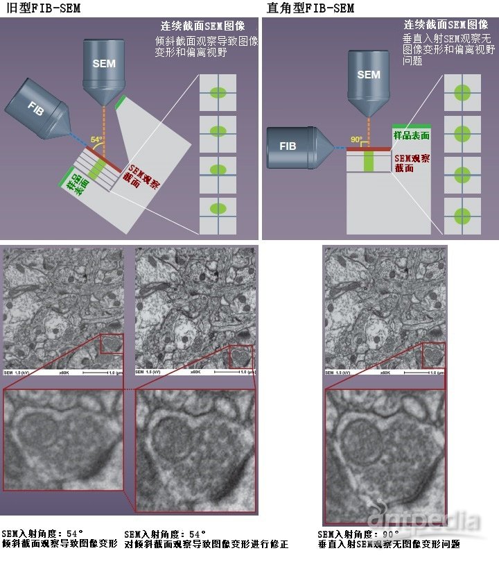 旧型FIB-SEM、直角型FIB-SEM