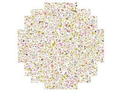 欧波同 AMCS-Mining自动矿物分析系统 用于煤炭图1