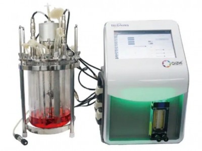 EC系列玻璃生物反应器