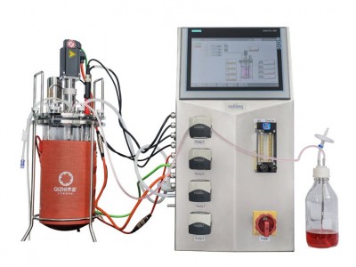 BA系列玻璃生物反应器图1