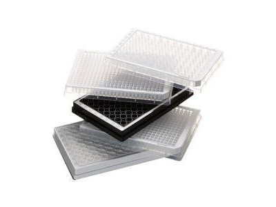 Eppendorf 96 孔和384 孔微孔板