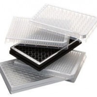 Eppendorf 96 孔和384 孔微孔板