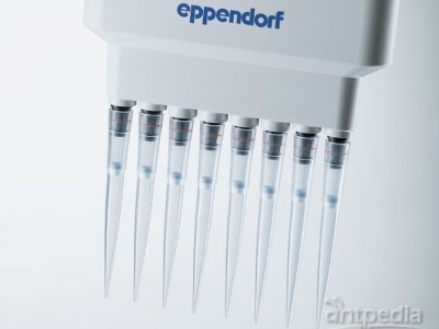 ep Dualfilter T.I.P.S.® - 双滤芯