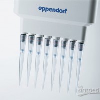 ep Dualfilter T.I.P.S.® - 双滤芯吸头