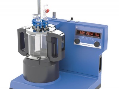 IKA LR 1000 basic Package实验室反应器图2